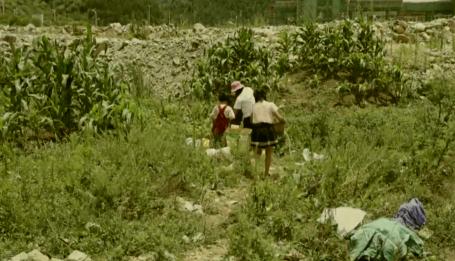 女子骗走闺蜜40亿,女子骗走闺蜜40亿结局