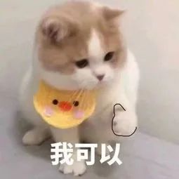 广东一线医护人员招聘信息最新,广东医疗岗招聘