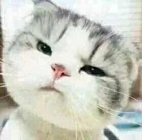 热热热热热热热未来一周这些地方真的要热哭了