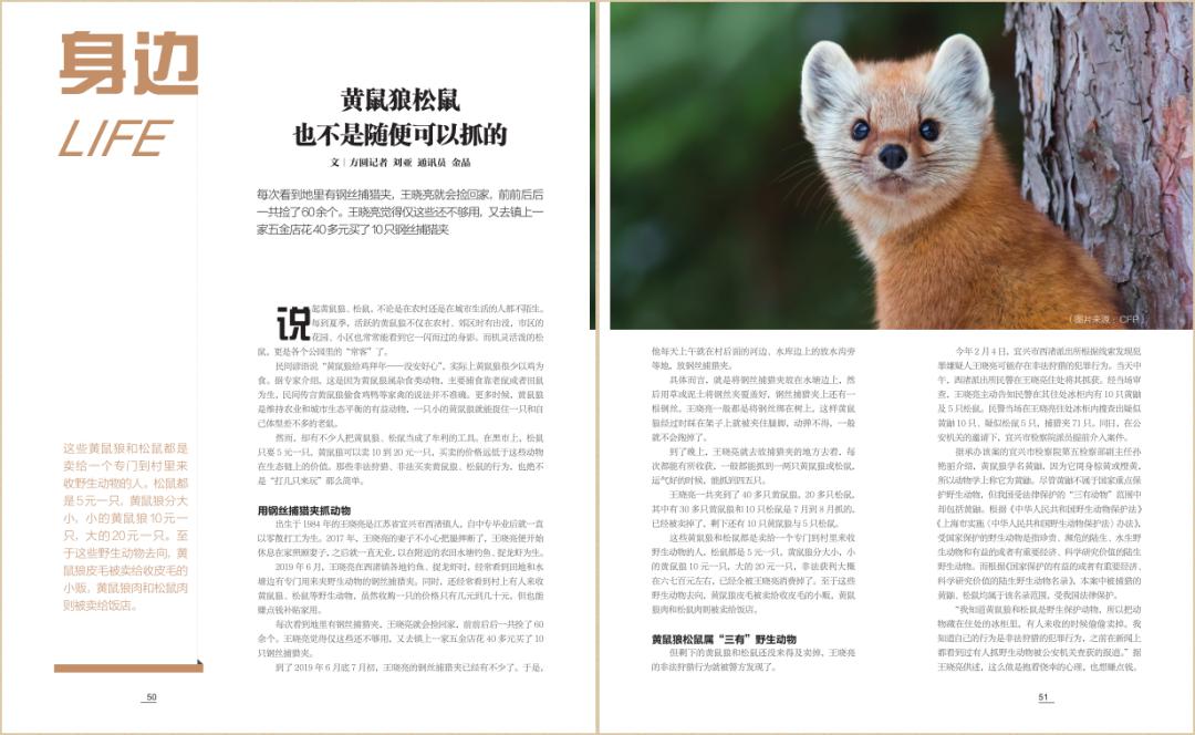 种子安全总体国家安全观,种子安全宣传视频