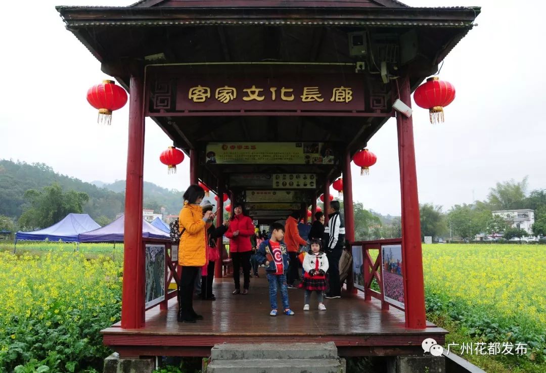 花都这些村超级棒！快来助力！