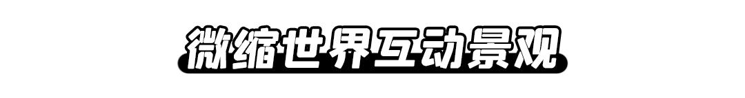 乘风破浪的姐姐们重新出发,乘风破浪的姐姐们要开始重新组团
