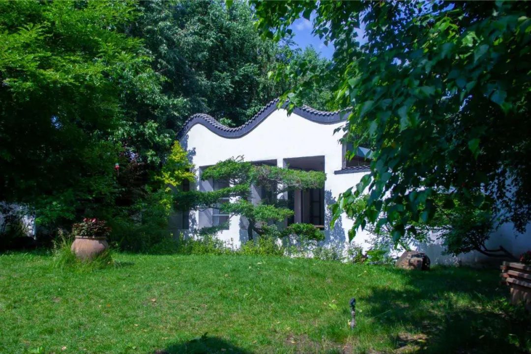 简直认不出这是哈尔滨！三种姿势，别样过夏天