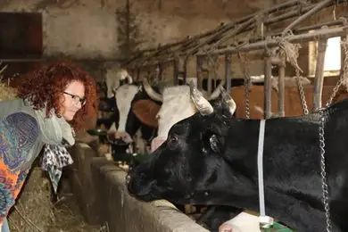 动物能预测地震吗青海,家畜为什么能预知地震