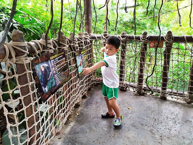 长隆乐园欢乐世界,广州长隆游玩注意事项