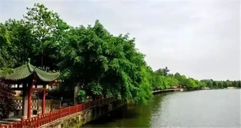 成都景点60岁以上免费门票,成都免费游玩景点推荐