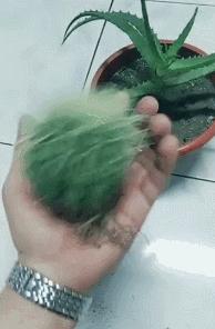 不会吧，不会真的有人不知道Switch卡什么味道吧