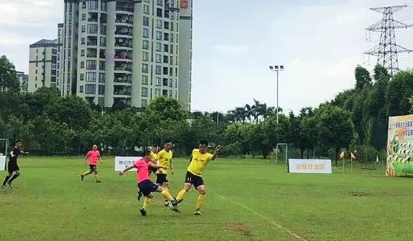 大沥篮球羽毛球乒乓球混合场馆,大沥篮球冠军