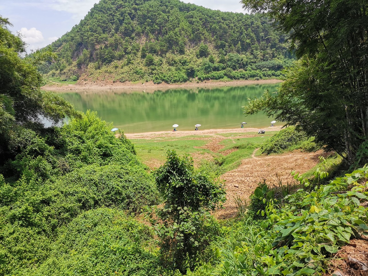桂江野钓土鲮,广西桂江土鲮