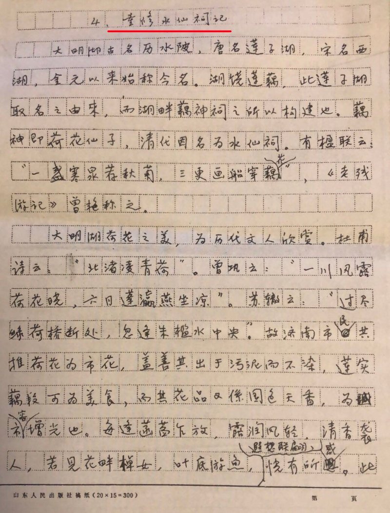 又到送寒衣时节,又到了送郁金香的季节