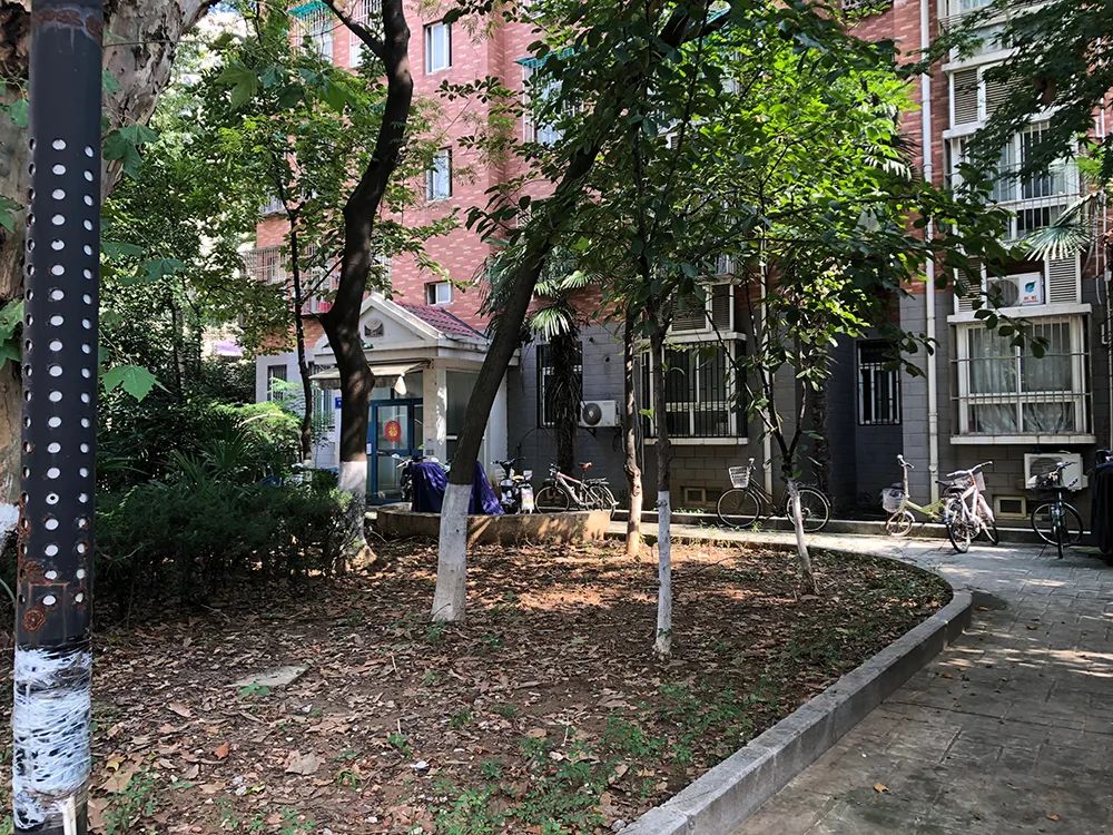 惊！南京三线“草小”成功逆袭，业主膨胀却不被认可，真相...