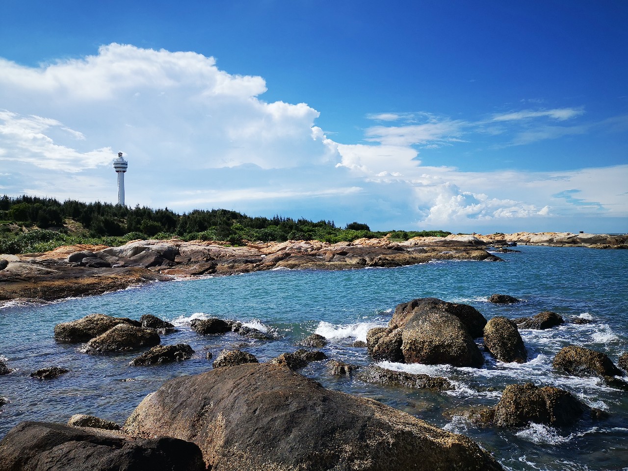 游姿优美的观赏鱼,木兰花乡风景区钓鱼