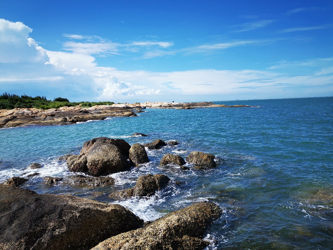 游姿优美的观赏鱼,木兰花乡风景区钓鱼