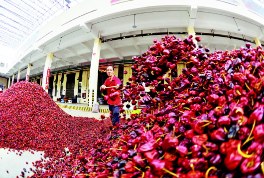 贵州辣椒产业园,贵州有哪些辣椒批发市场