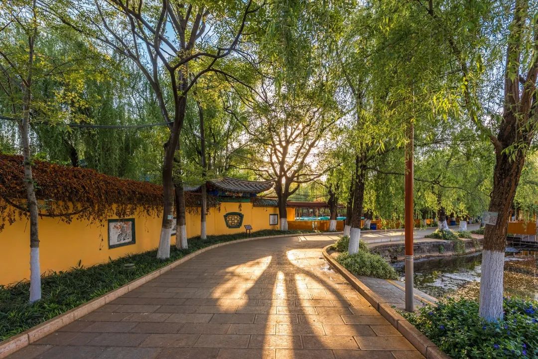 昆明春城秀图片,昆明正宗春城秀