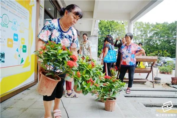 开门见假山鱼池,开门见室内花园