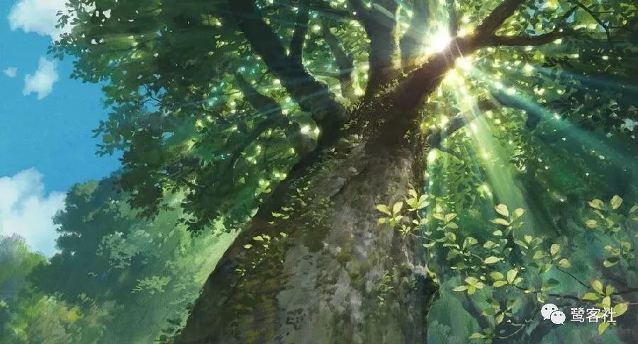 鼓浪屿岛上民宿,鼓浪屿岛上视频