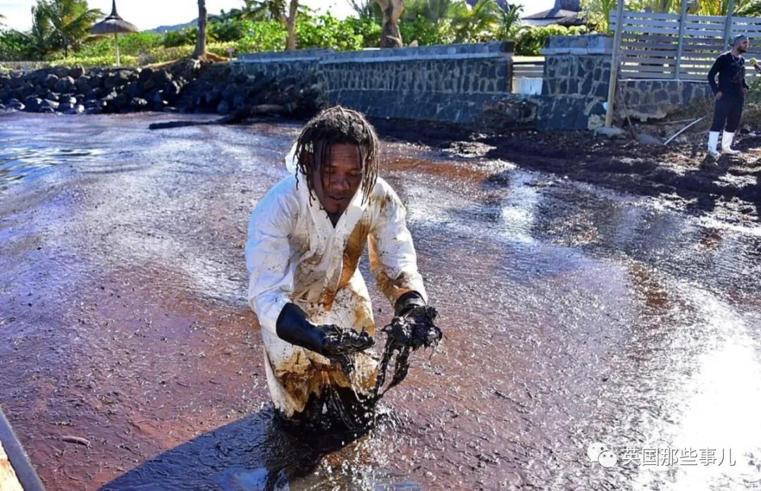 断了!这场几乎毁掉毛里求斯天堂海岸的船难,居然是有人想靠岸连WiFi?