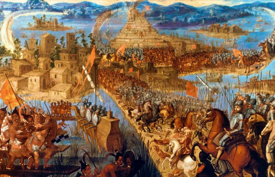 羊驼又叫什么神兽,羊驼为什么会排在十大神兽里