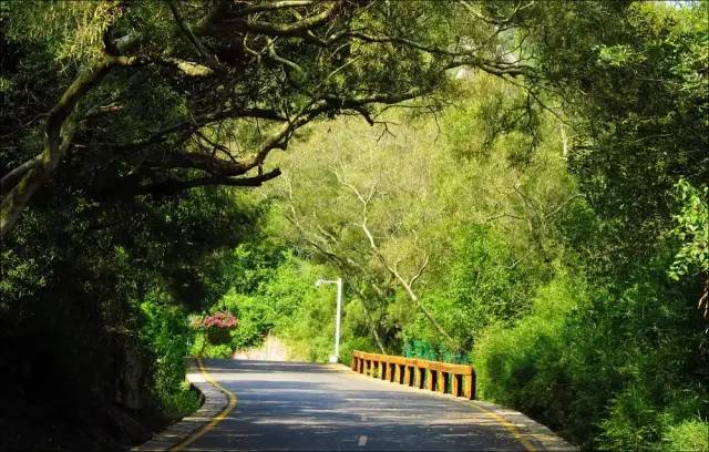 爬厦门仙灵旗,厦门周边登高望远的地方