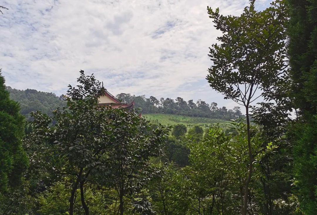 又一所大学要来！高淳，你真的要红了