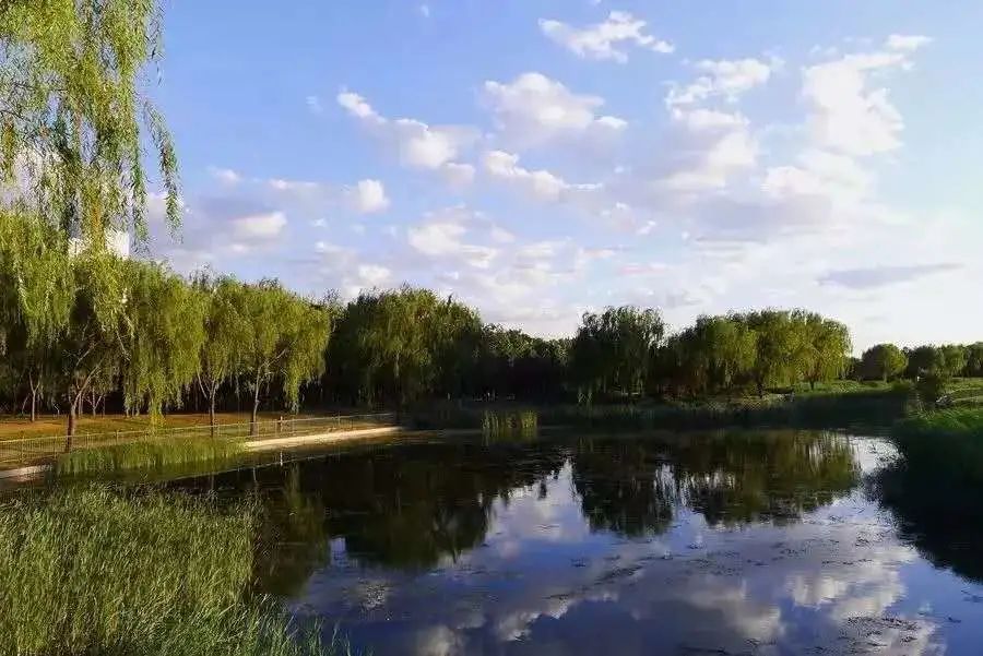 漫游新城|文化荟萃，景色怡人，在这里尽享公园慢时光