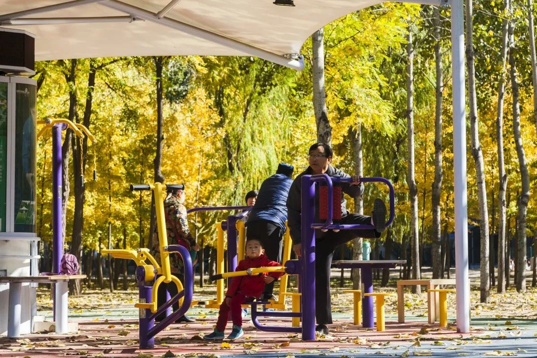 漫游新城|文化荟萃，景色怡人，在这里尽享公园慢时光