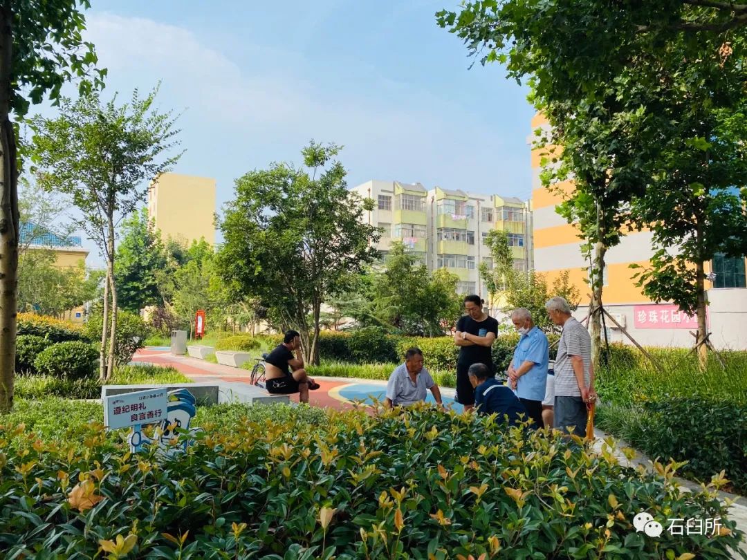 精雕细琢玉石魅力,精雕细琢完美呈现