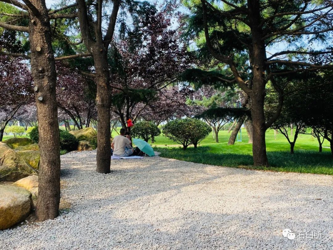 精雕细琢玉石魅力,精雕细琢完美呈现