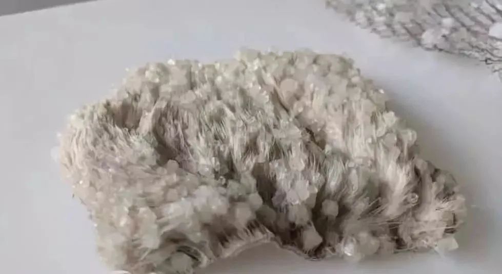 黑科技可拍照,黑科技拍照真实图片