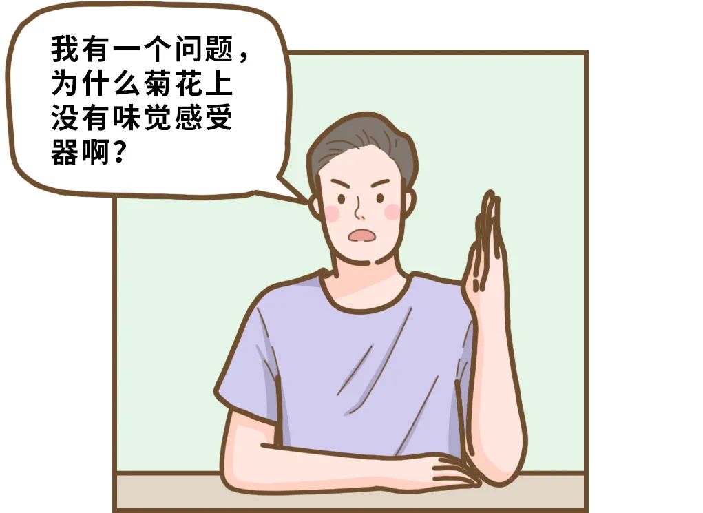 为什么菊花有味道,为什么吃了辣的菊花会火辣辣的