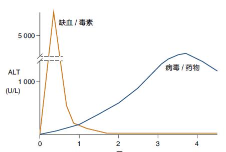 一文详解：肝功能检测异常，鉴别诊断前你应该做什么？丨临床必备