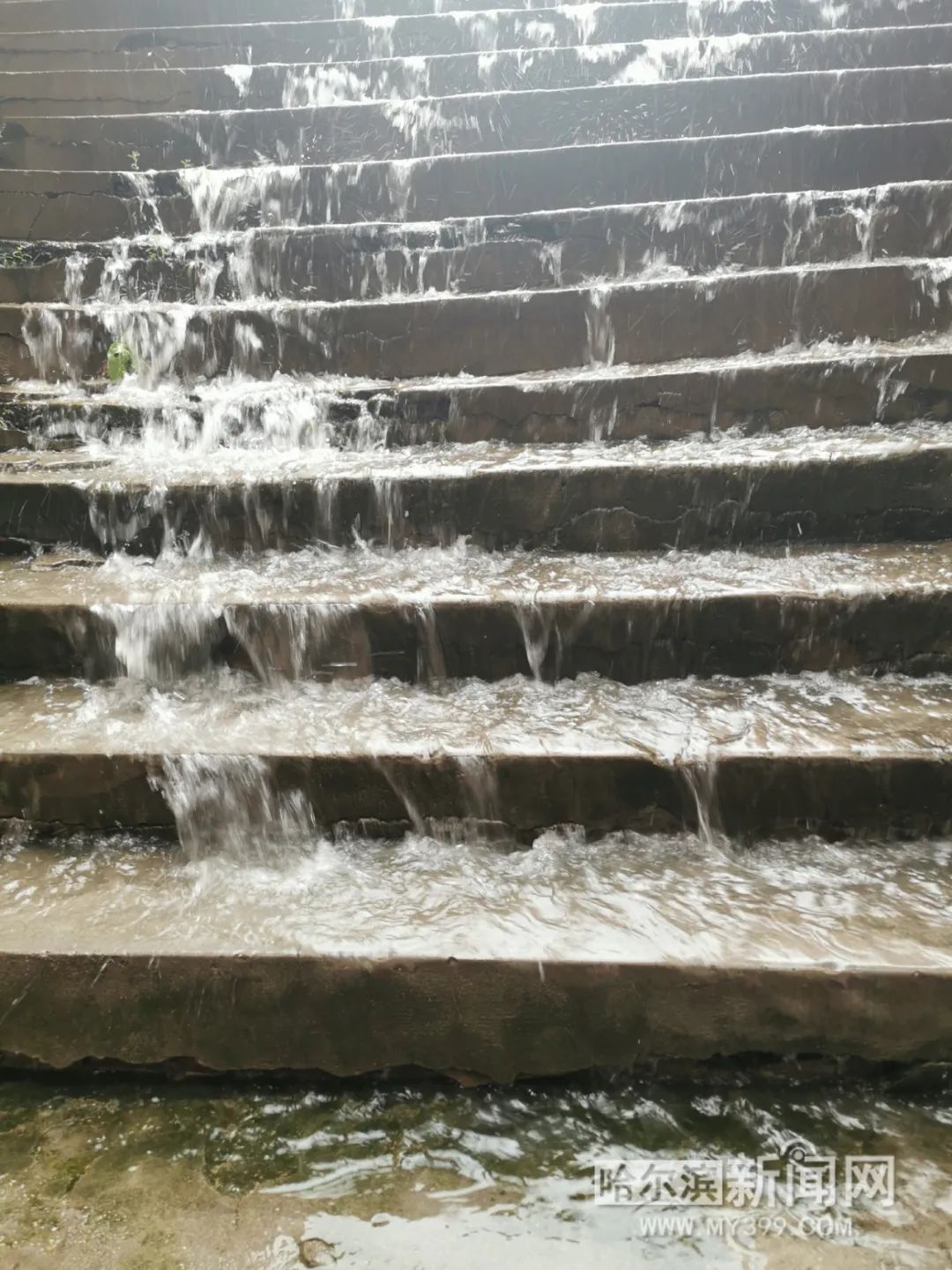 “巴威”到哈即“停编”，但是暴雨没完丨有站点累计降水量超70毫米