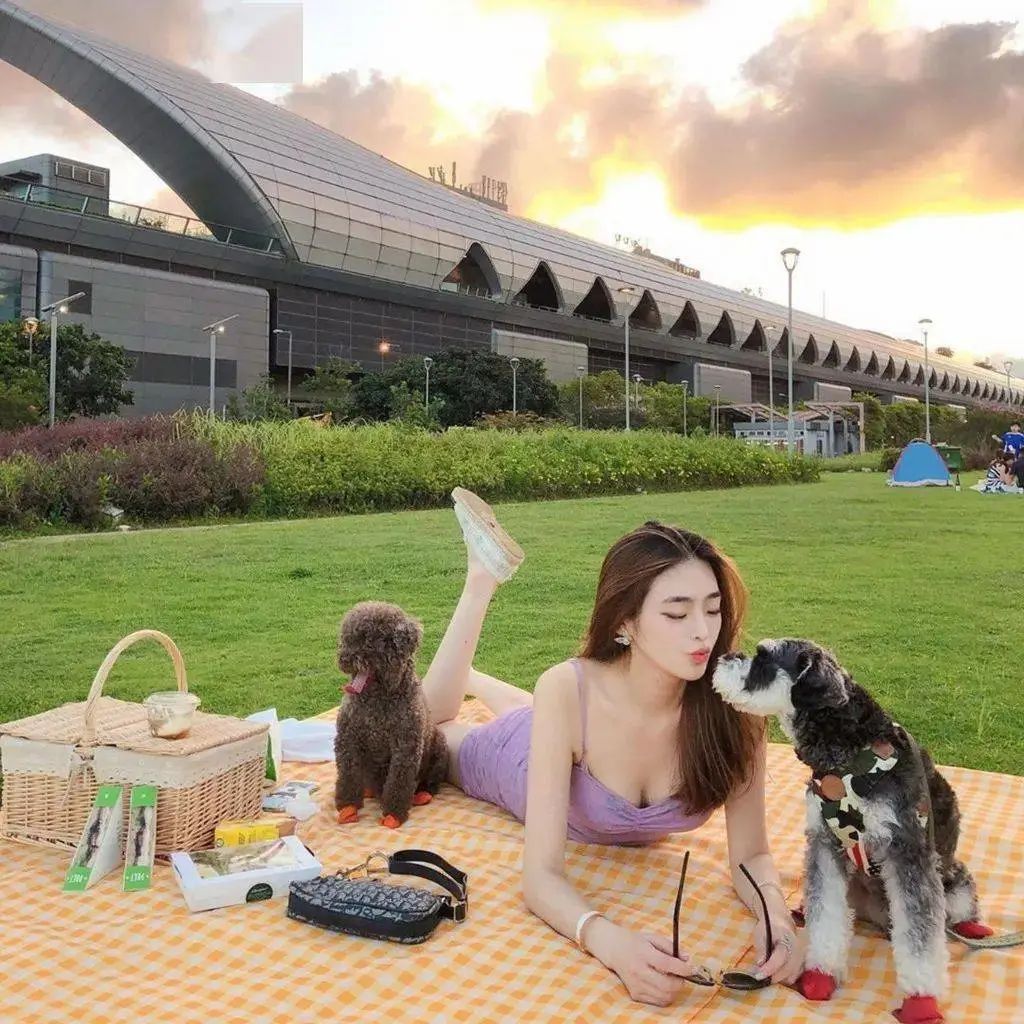 2017香港小姐和以前港姐对比,2017年香港小姐最上镜