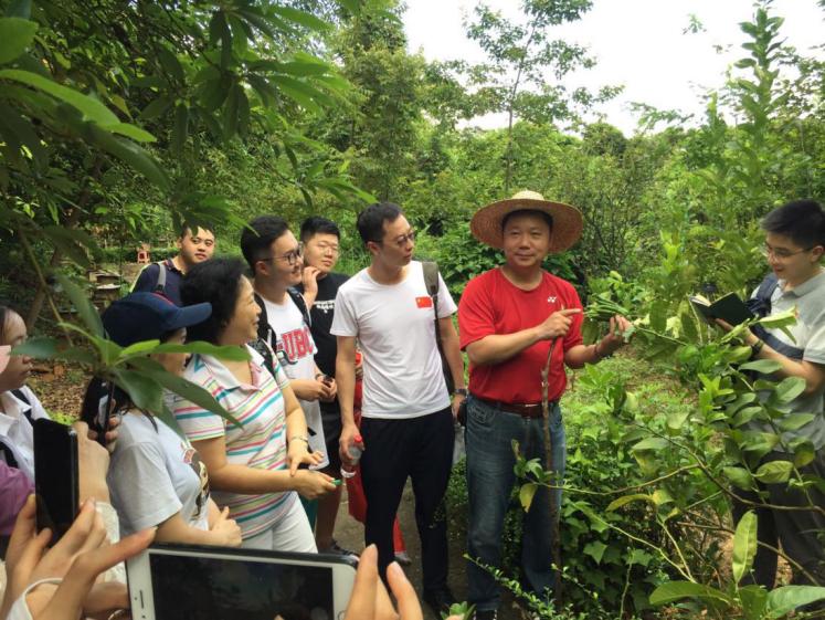曲径通幽绿树环绕鸟语花香,曲径通幽空气清新