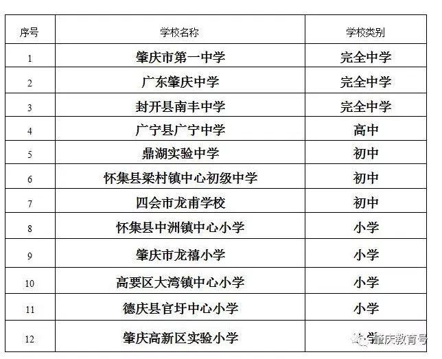 肇庆新区体育中心足球场,广东业余足球标准足球场比赛