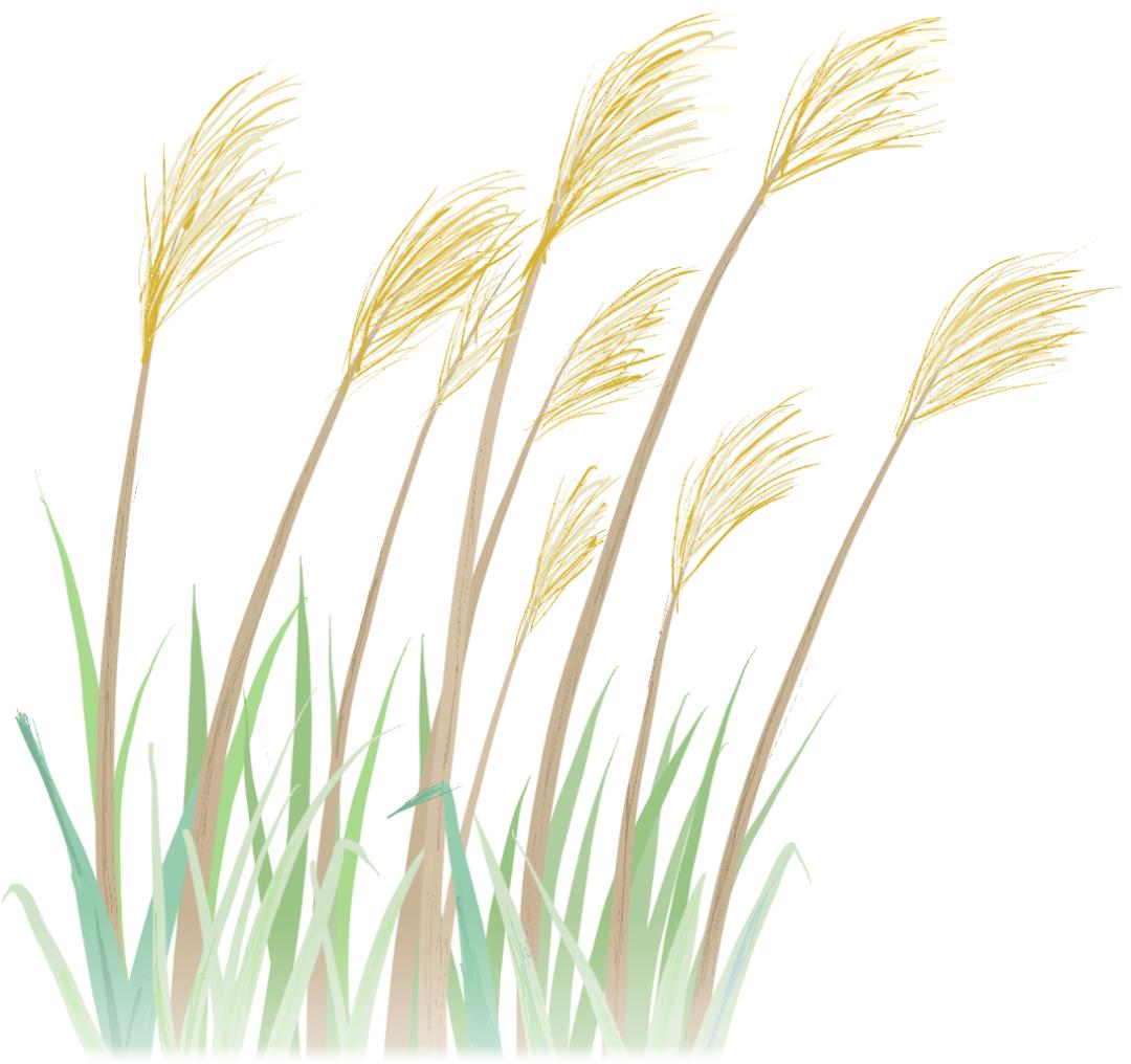 佳法资讯|佳木斯法院系统公开招聘聘用制书记员计算机打字测试工作顺利进行