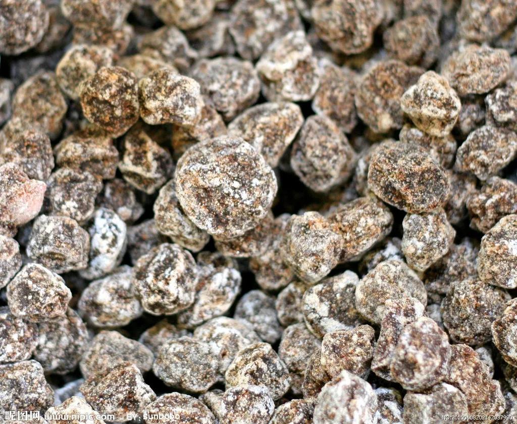 话梅用的是哪种梅,日本话梅是什么梅