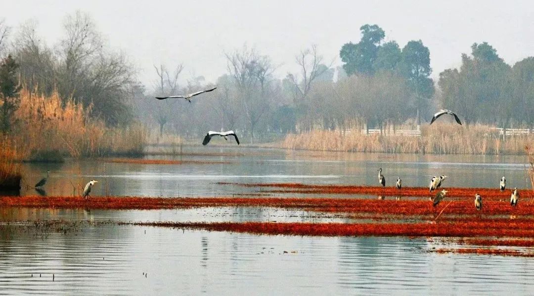 裸心泊民宿,苏州裸心泊酒店