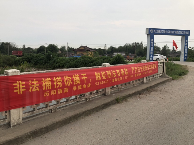 大风大浪钓大鱼完整视频,大风大浪钓大鱼是真的吗