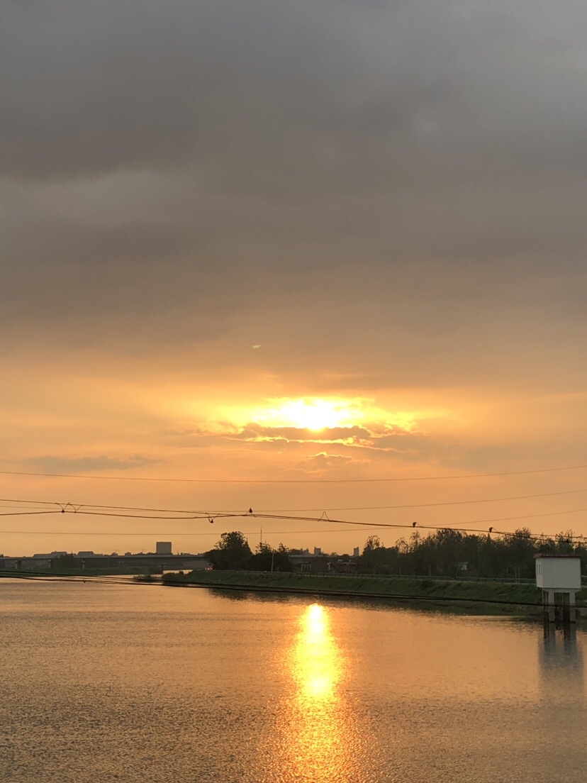 大风大浪钓大鱼完整视频,大风大浪钓大鱼是真的吗