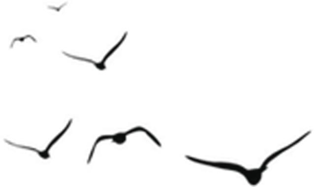 值得一去的小众旅游景点安徽篇 (300条乡村游精品线路任你选安徽篇)