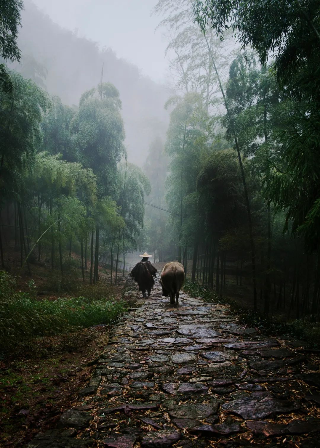 浙江衢州在浙江什么位置,浙江衢州为什么这么重要