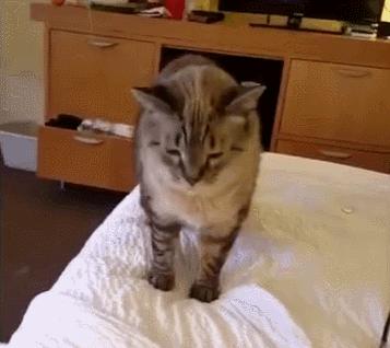 秋天了，我又开始变态反应了