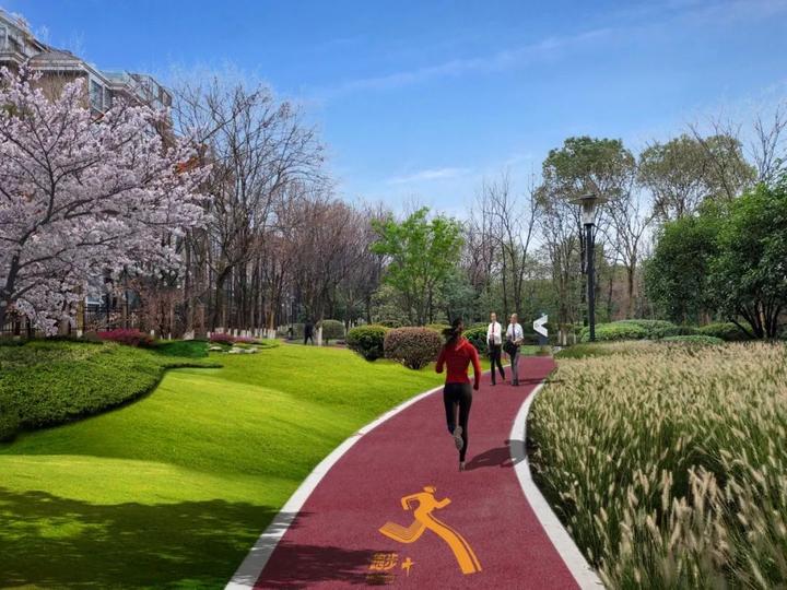 衢州市柯城区府山公园,府山公园最新状况