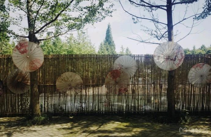 成都周边一日游网红打卡地民宿,成都网红打卡地旅游民宿