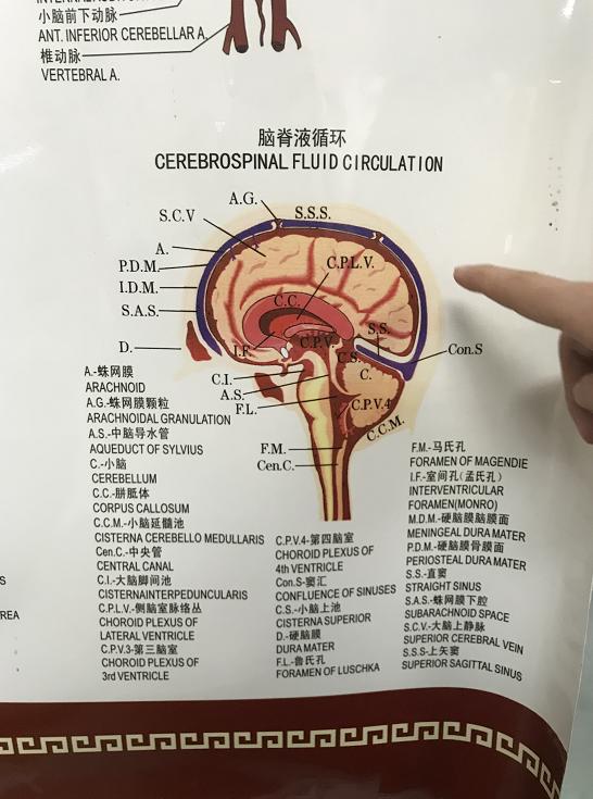 女子剁猪骨受伤患病,广西女子剁猪骨患上罕见的病
