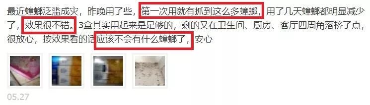 让蟑螂来一只死一窝的方法,蟑螂克星一窝端