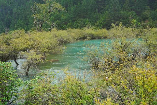 初秋，与神话九寨的浪漫之约