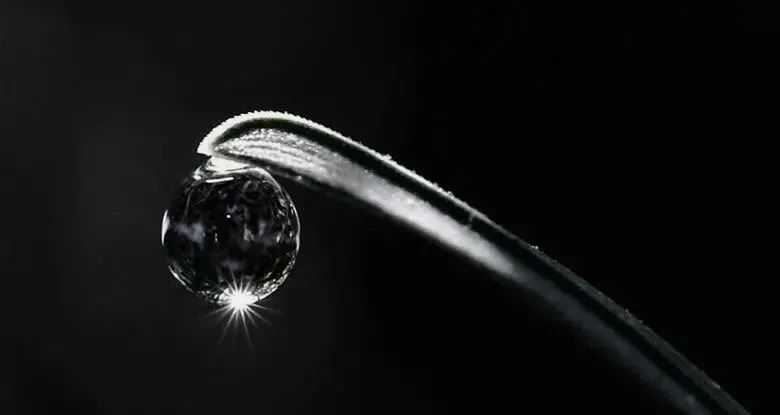 看完你还敢兼职吗,想当法官有多难